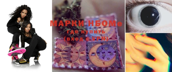крисы Баксан