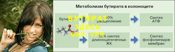 крисы Баксан